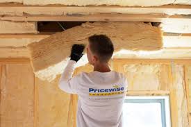 Best Spray Foam Insulation  in Edcouch, TX